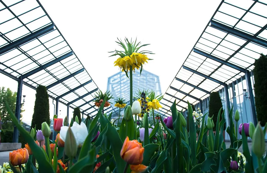 Dehner Blumen Hotel-1