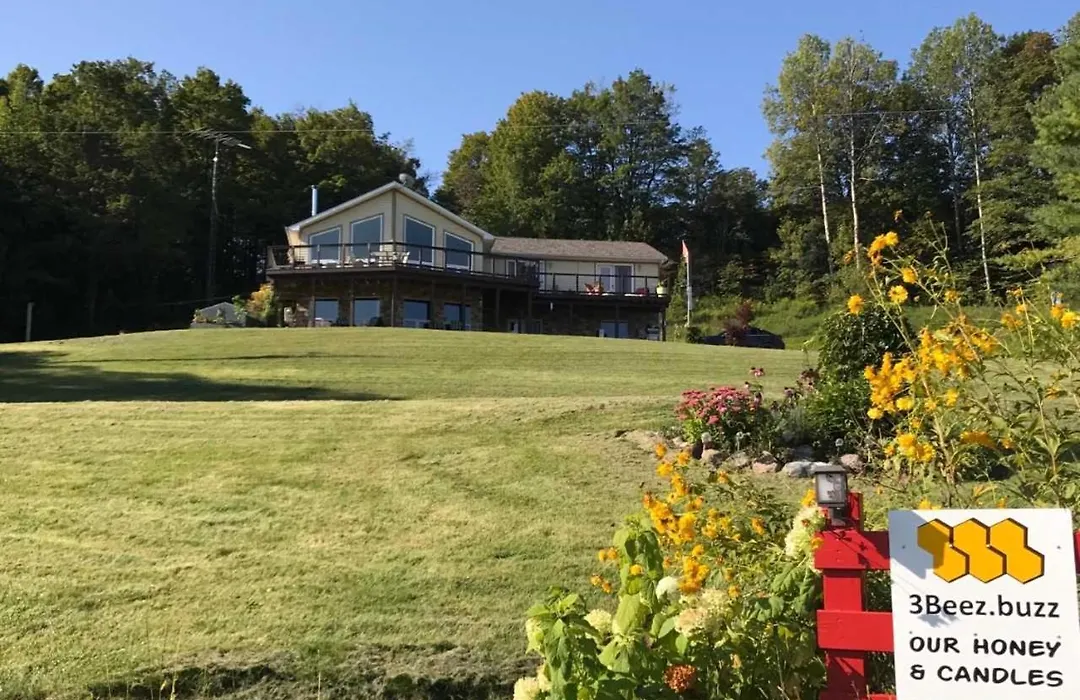 Our Valley View Bed & Breakfast-1