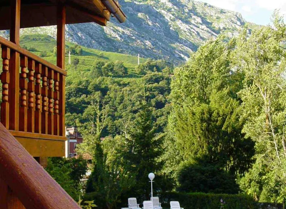 Hotel Picos De Europa-1