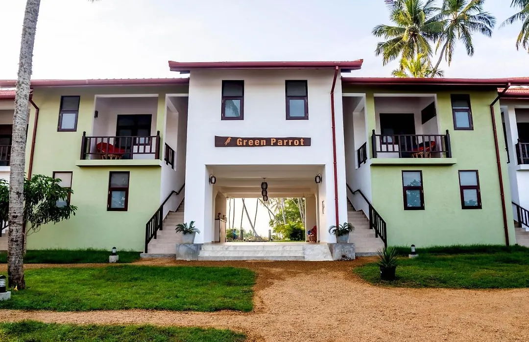 Green Parrot Beach Resort-1