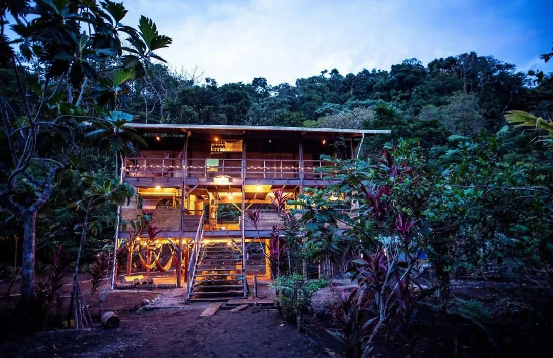 The Pelican House Hostel-1