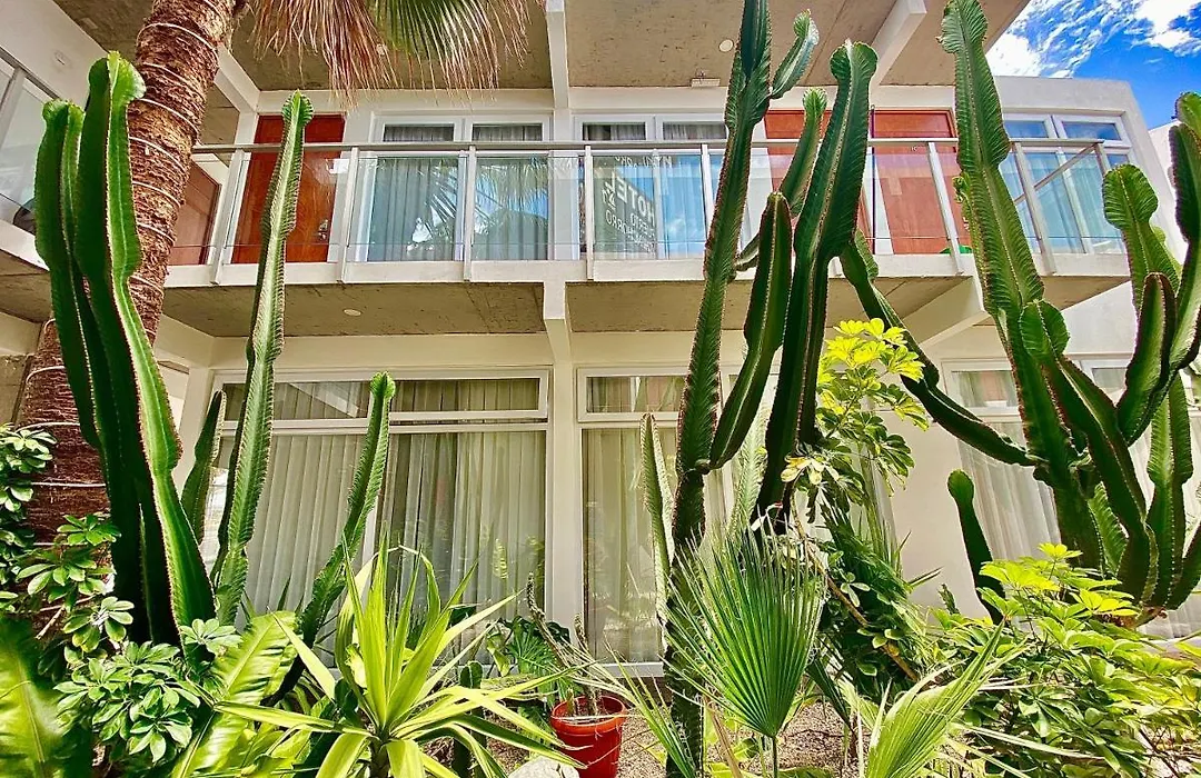 Hotel Puerto Chinchorro-1