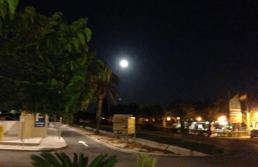 Hotel Mediterrani Blau-1
