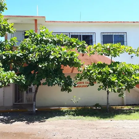 Bungalows Delfin-3