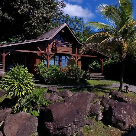 Jardin Malanga-2