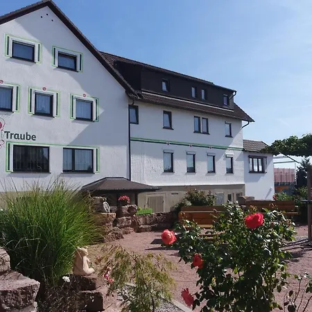 Landhotel Traube-3
