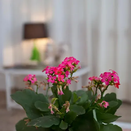 Galaxia Boutique Hotel-3