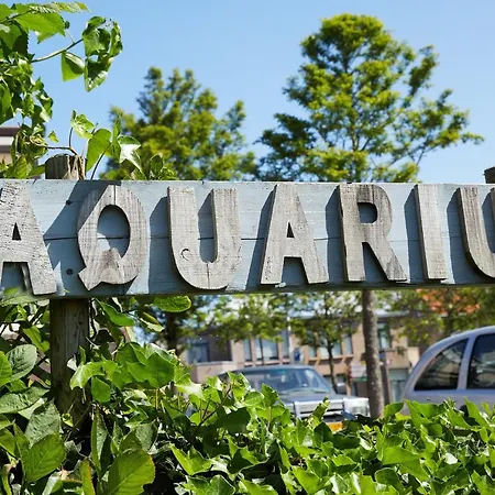 Guest House Aquarius-3