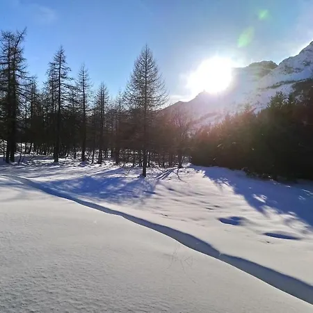 Les marmottes d Estenc-2