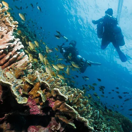 Cebu Seaview Dive Resort-2