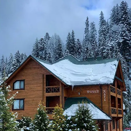 Forest House-2