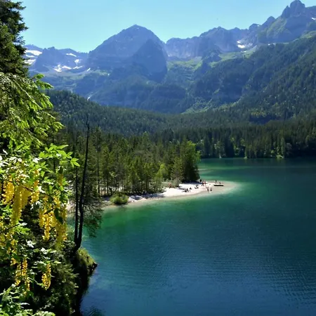 Chalet Tovel - Mountain Lake-2