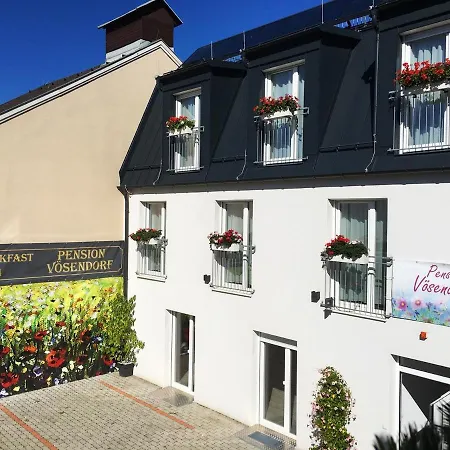 Pension Voesendorf-3