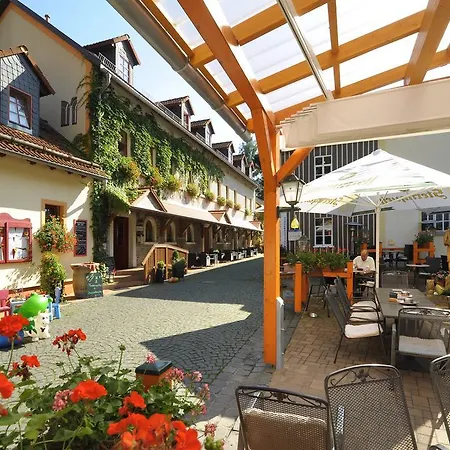 Hotel Zur Fernmühle-3