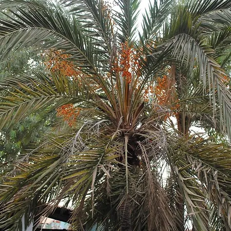 Rainbow Beach Resort-2