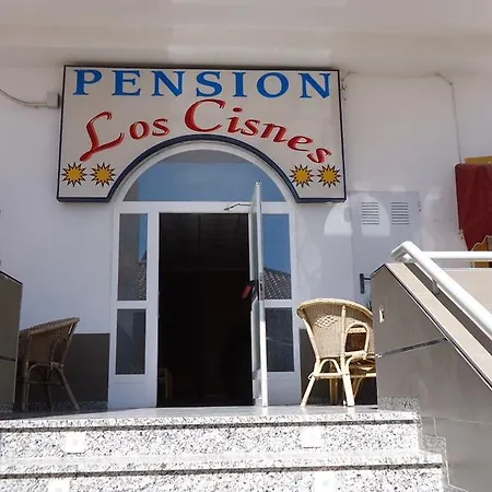 Pension Los Cisnes-3