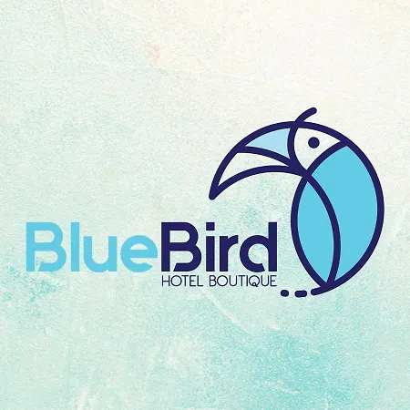 Blue Bird-3