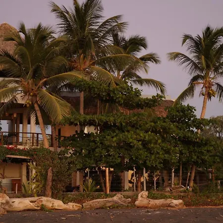 Alive Beach House-2