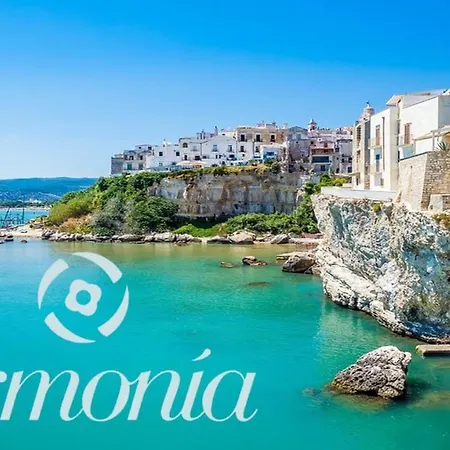 B&B Armonia Vieste-2