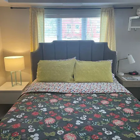 Modern Homestead Guest House-2