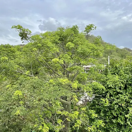 Palmazul Hotel & Spa-2