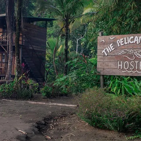 The Pelican House Hostel-2