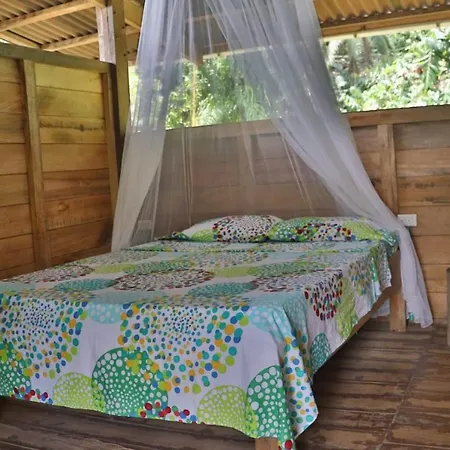 The Pelican House Hostel-2