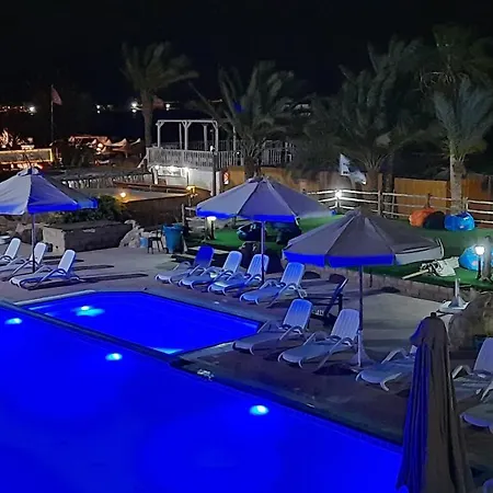 Panda resort-2
