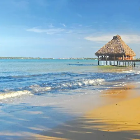 Playa Tortuga Hotel And Beach Resort-3