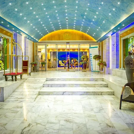 Phoenicia Blue View-3