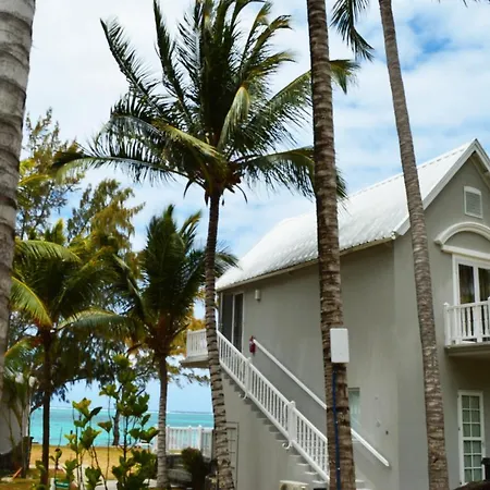 Astroea Beach Hotel (Adults Only)-2