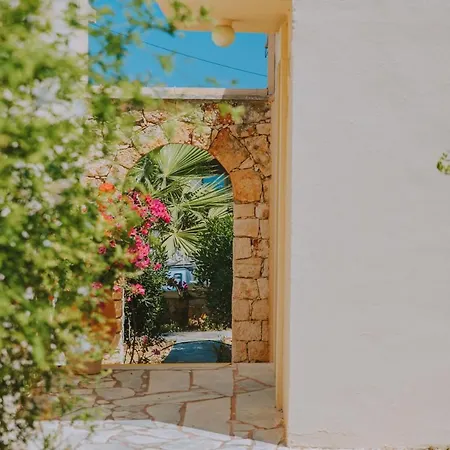 Creta Vitalis-2