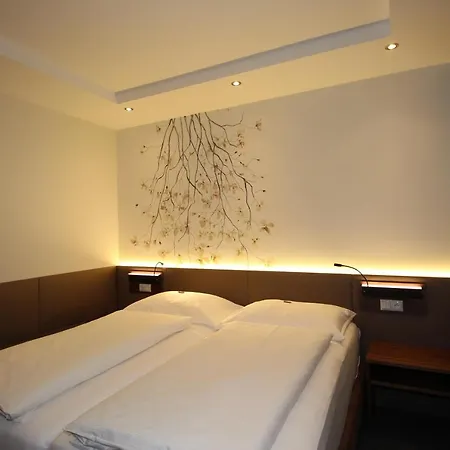 Hotel Blumauer-3