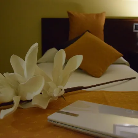 Hotel Complutense-3