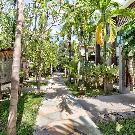 Sairee Hut Resort Koh Tao-2