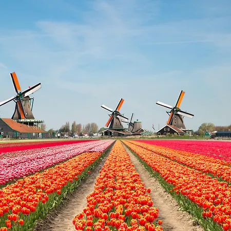 Holiday Inn The Hague - Voorburg By Ihg-3
