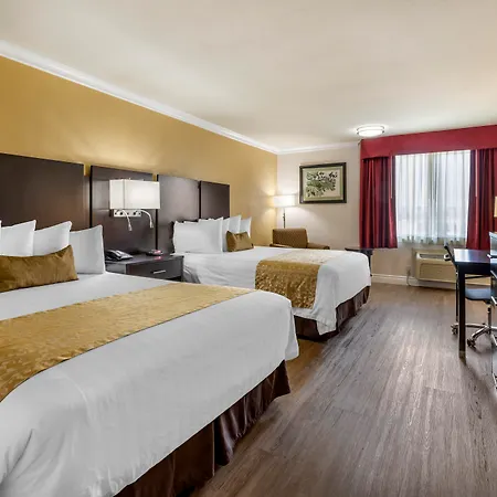 Best Western Plus South Bay Hotel-3