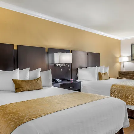 Best Western Plus South Bay Hotel-2