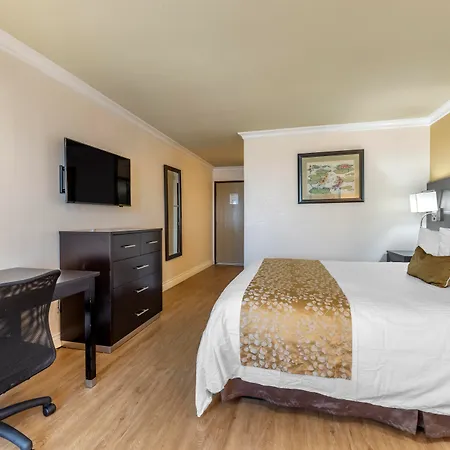 Best Western Plus South Bay Hotel-2