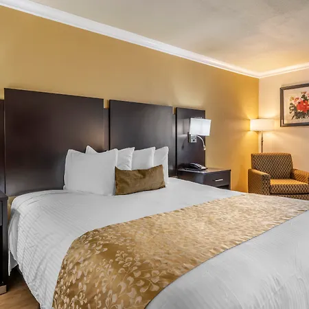 Best Western Plus South Bay Hotel-3