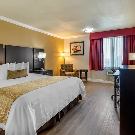 Best Western Plus South Bay Hotel-3