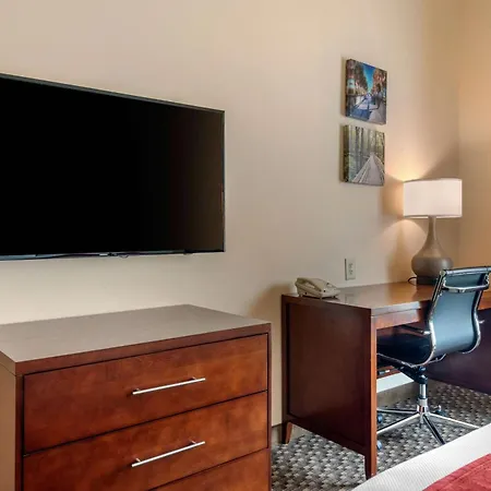 Comfort Inn & Suites Fort Myers Airport-3