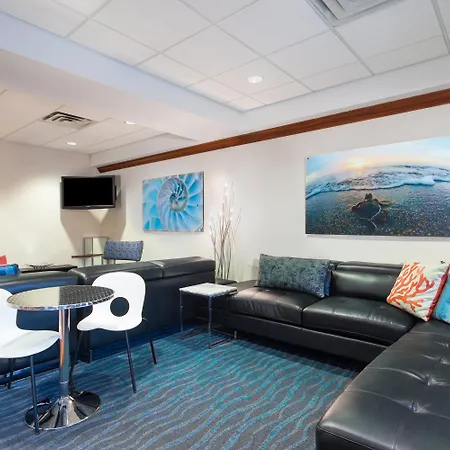 Holiday Inn Express & Suites Clearwater North/Dunedin-2