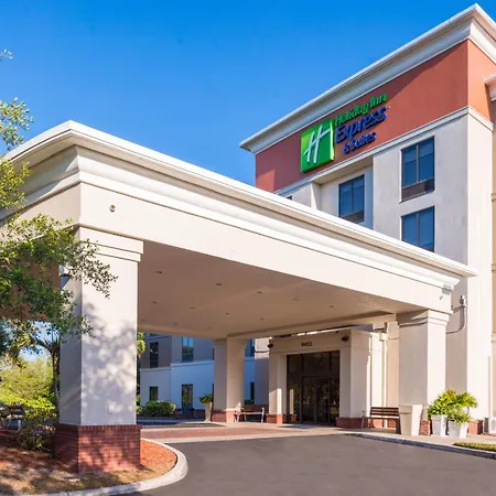 Holiday Inn Express Hotel & Suites Tampa-Anderson Road-Veterans Exp By Ihg-3