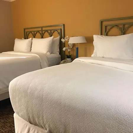 Hotel Xola Trademark Collection By Wyndham-3