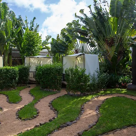 Zilwa Attitude-3