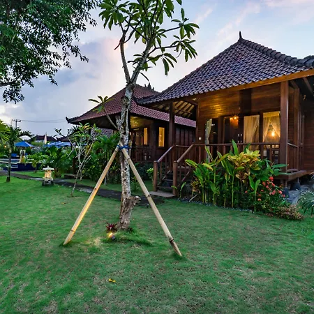 The Cozy Villas Lembongan-3