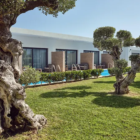 Cavo Orient Beach Hotel&Suites-2