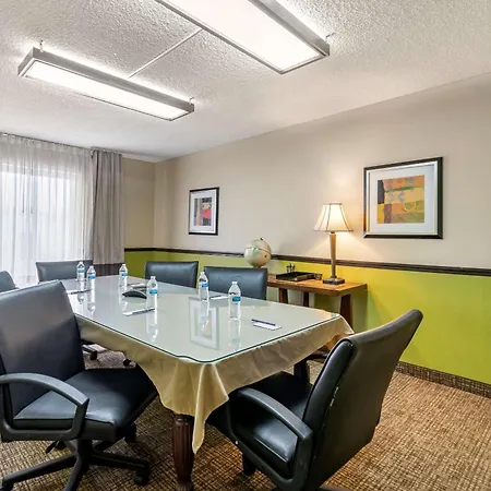 Comfort Inn & Suites St Pete - Clearwater International Airport-2