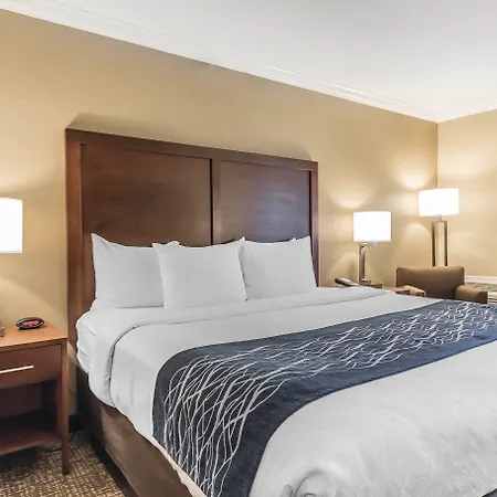 Comfort Inn Sunnyvale - Silicon Valley-2